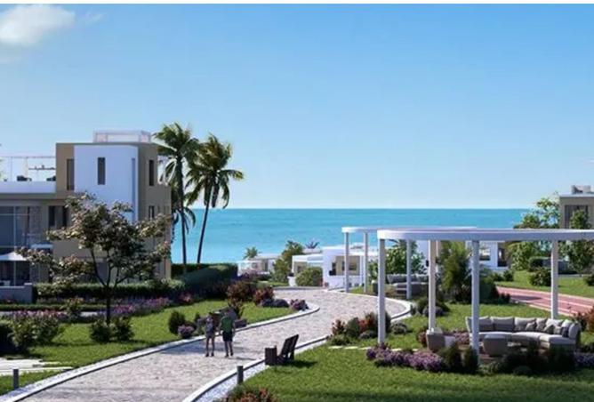 8225542 - Property Image 3