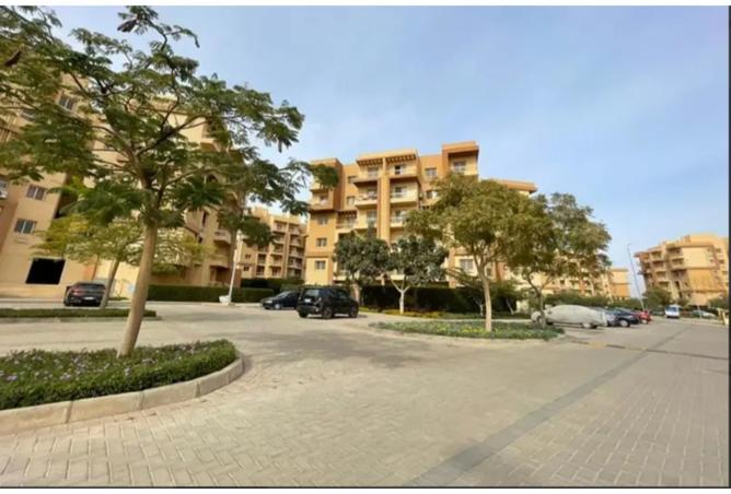 8049985 - Property Image 3