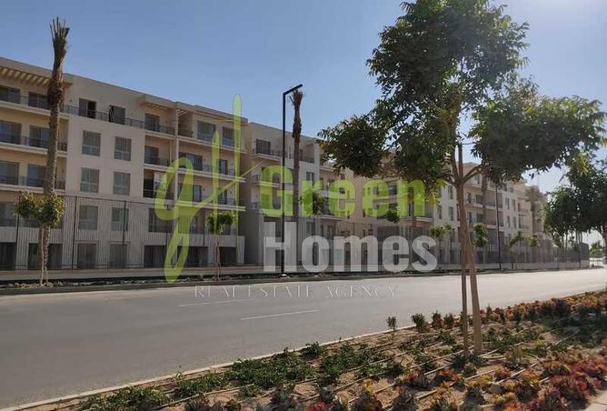 8069486 - Property Image 3