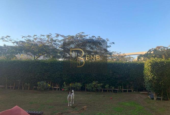 8406364 - Property Image 3