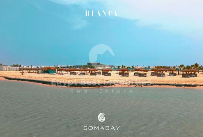 8399146 - Property Image 2