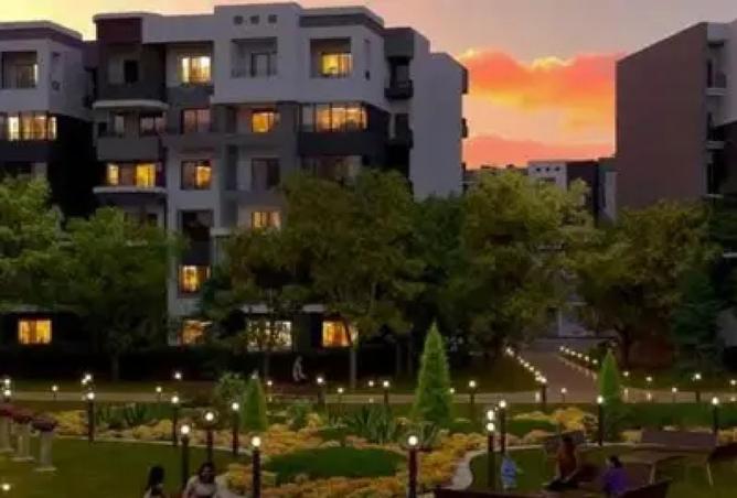 8333743 - Property Image 3