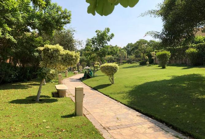 8363573 - صورة العقار 3