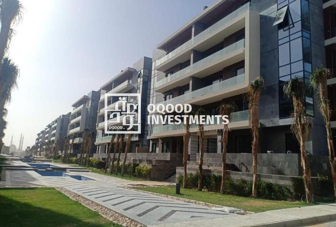 8436859 - Property Image 3