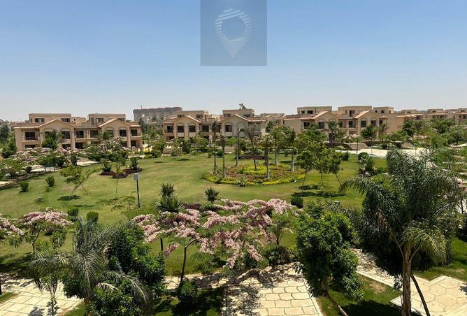 8180602 - Property Image 2