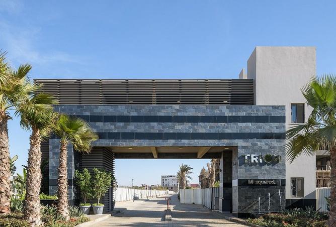 8314044 - Property Image 2