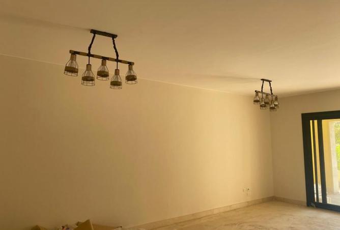 8136394 - Property Image 3