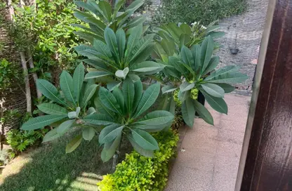 Apartment - 2 Bedrooms - 3 Bathrooms for sale in Ishraqa - 6 October Compounds - 6 October City - Giza Apartment - 2 Bedrooms - 3 Bathrooms for sale in Ishraqa - 6 October Compounds - 6 October City - Giza