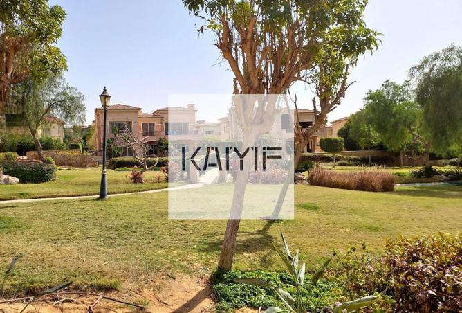 8429713 - Property Image 3