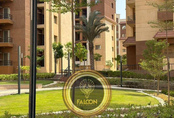 8423916 - صورة العقار 3