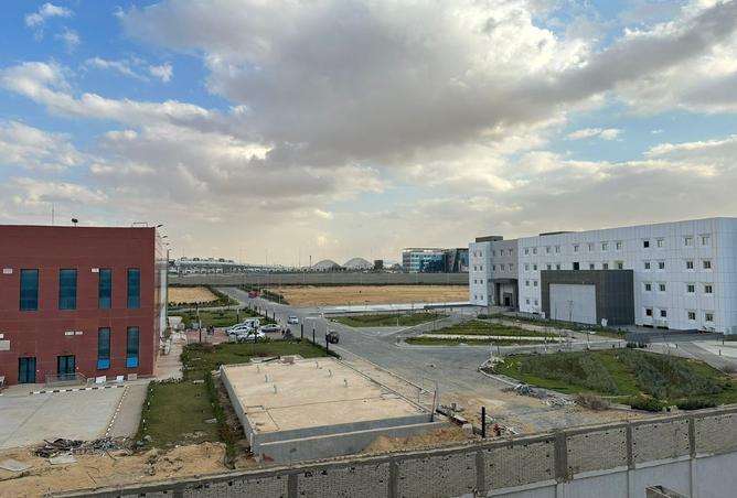8040703 - صورة العقار 2