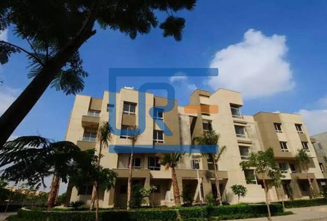 8139166 - Property Image 3