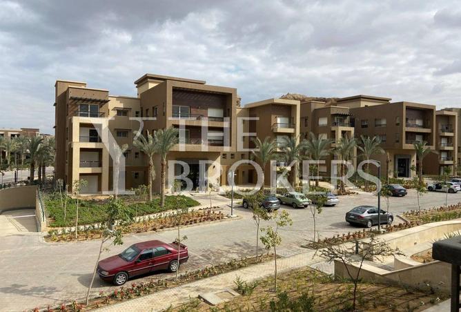 8070081 - Property Image 3