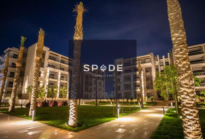 8502269 - Property Image 3