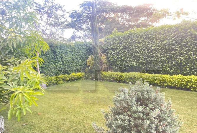 8233472 - Property Image 2