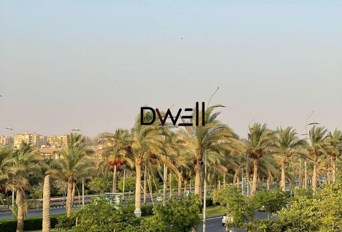 7911188 - Property Image 3