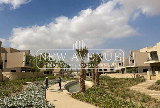 8203691 - صورة العقار 3