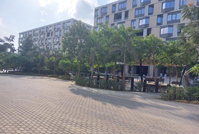 8162258 - صورة العقار 3