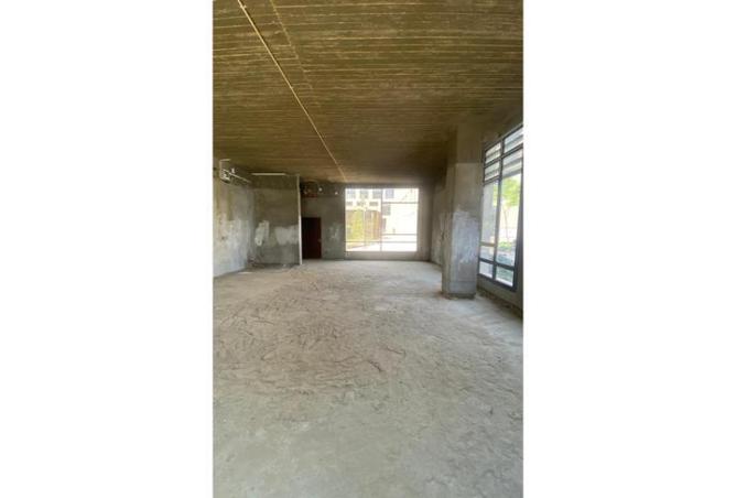 8176113 - الصورة الرئيسية للعقار