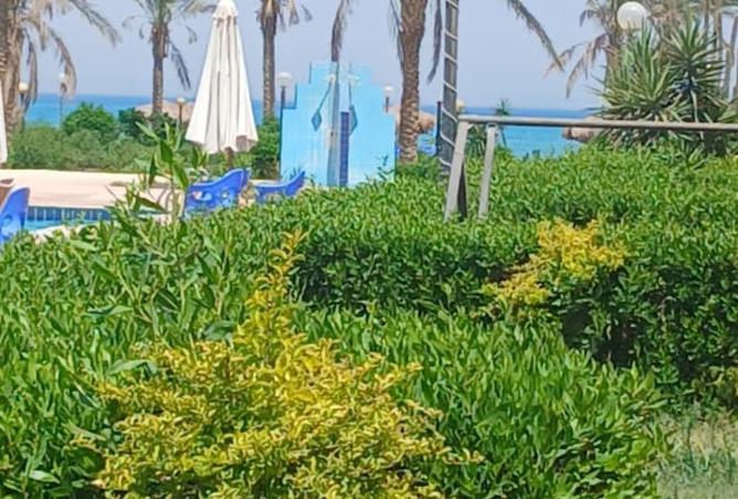 8258786 - Property Image 2