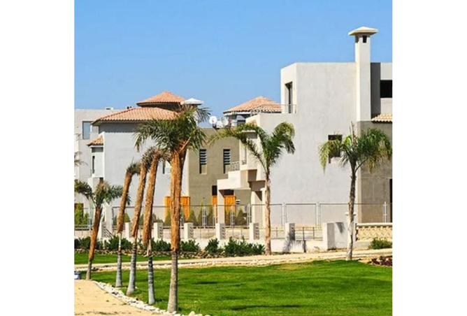 8411494 - Property Image 2