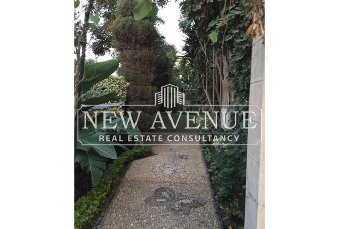 8233821 - صورة العقار 2