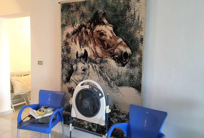 7962543 - Property Image 2