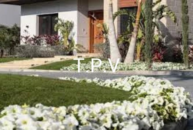 8162389 - Property Image 3