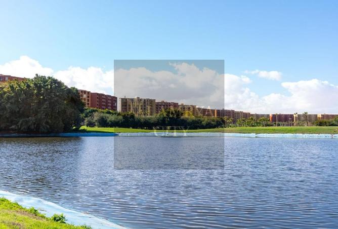 7619016 - صورة العقار 2