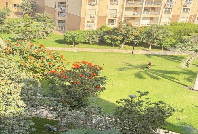 8416362 - صورة العقار 2