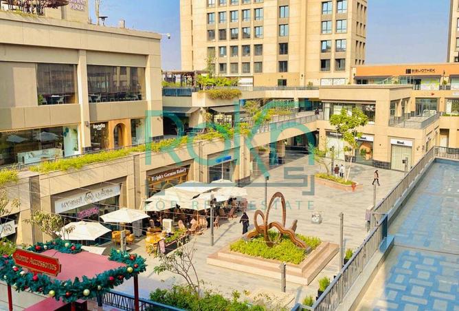 8234467 - Property Image 2