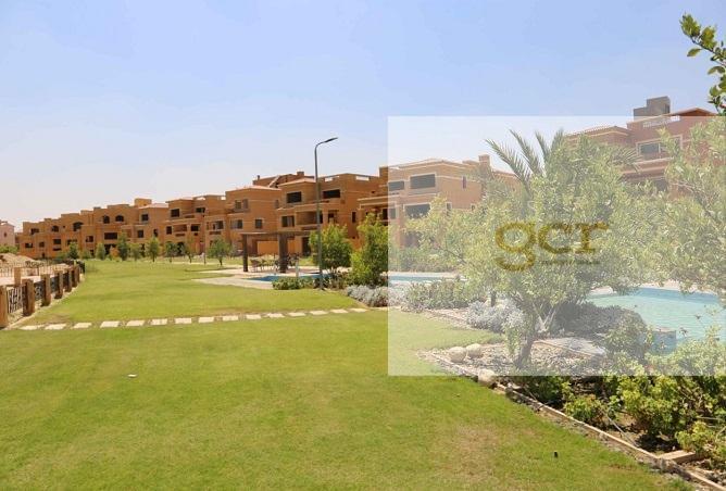 8281830 - Property Image 3