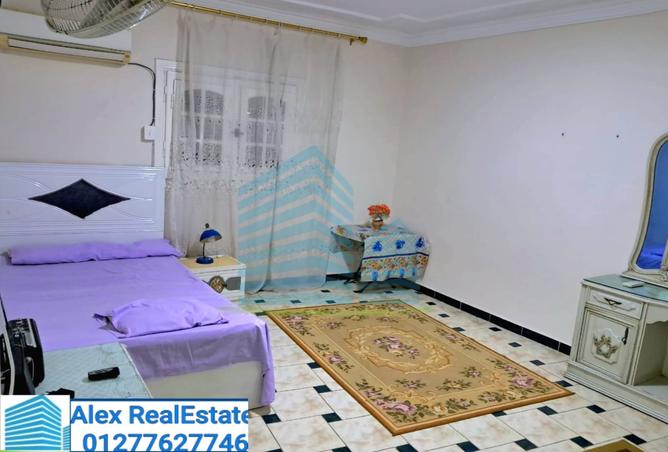 8061412 - Property Image 3