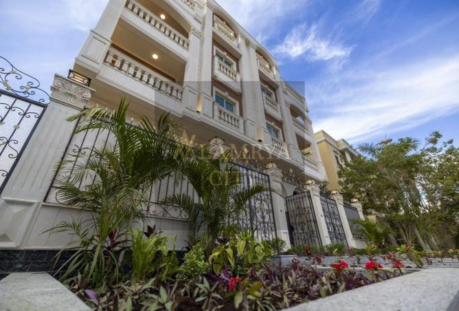 8163054 - Property Image 3