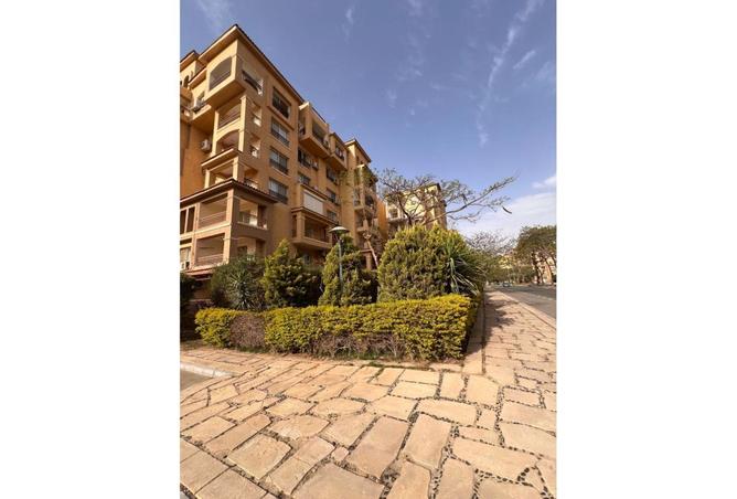 8089405 - Property Image 3