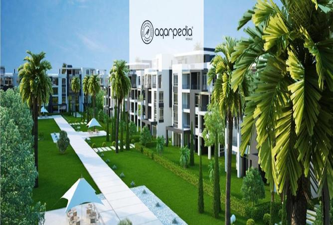 7991346 - Property Image 3