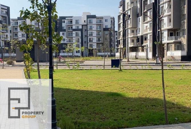 8427704 - Property Image 2