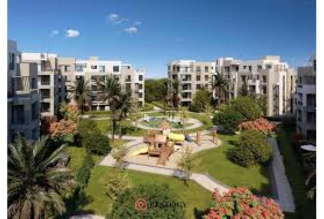 8431479 - Property Image 3