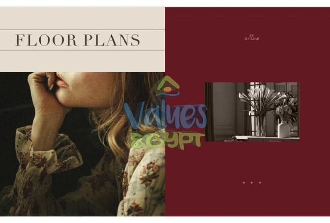 8195267 - Property Image 2