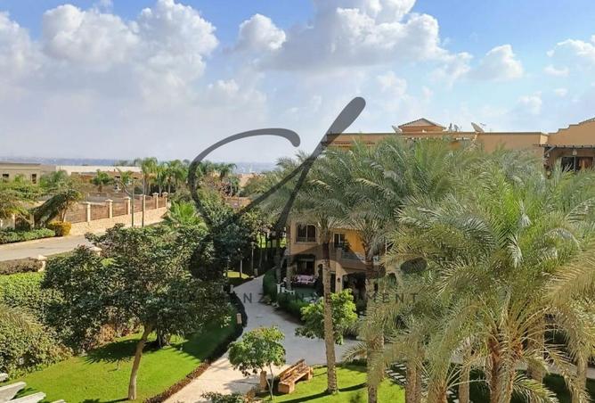 8410512 - Property Image 3