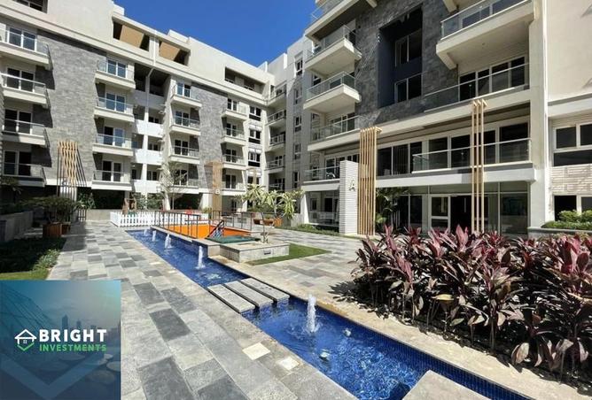 8438930 - Property Image 3