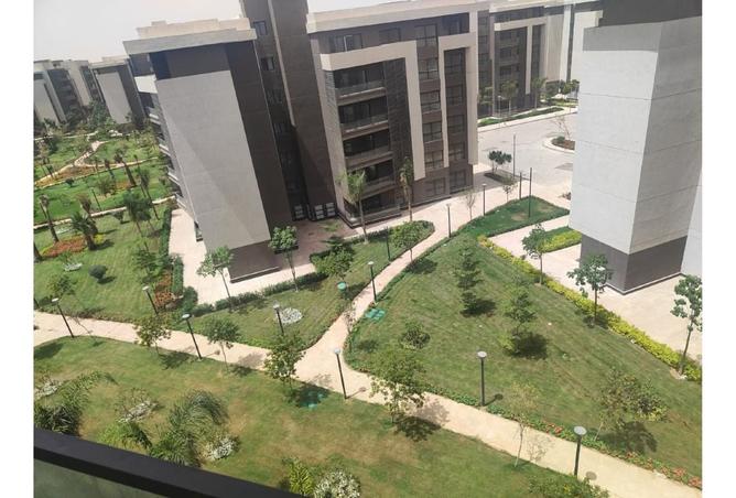 8021645 - صورة العقار 3