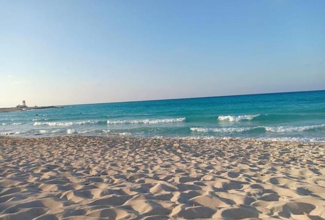 8188718 - صورة العقار 3