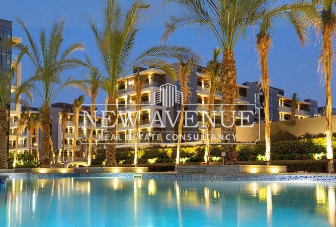 8446830 - Property Image 3