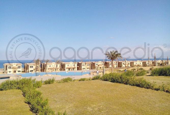 8213532 - صورة العقار 2