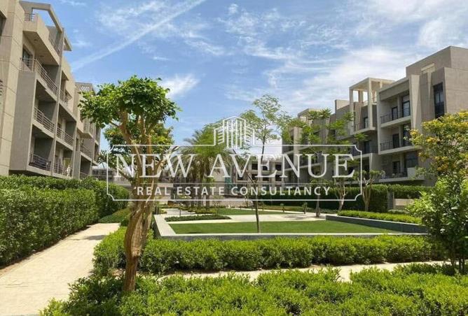 8272569 - Property Image 3