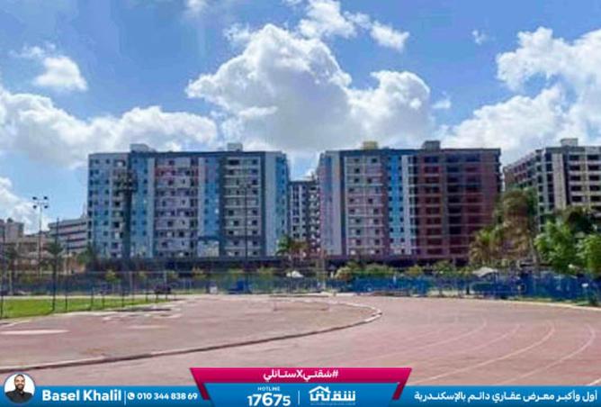 8339504 - صورة العقار 2