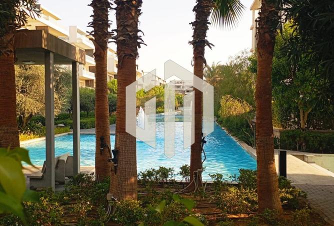 8127290 - Property Image 3