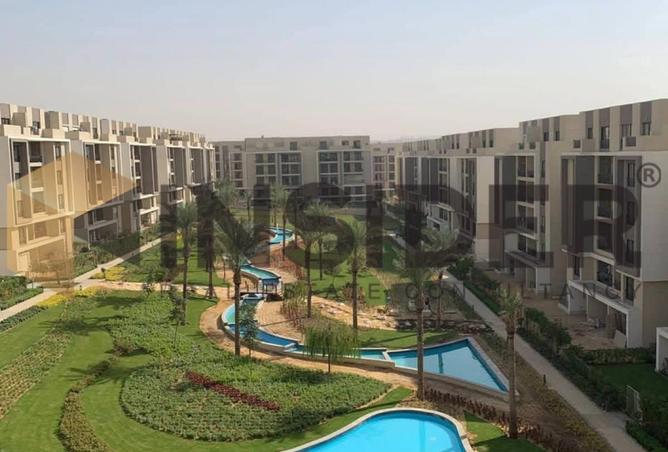 8548483 - Property Image 3