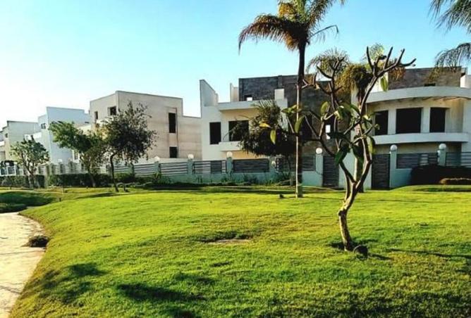 8028413 - صورة العقار 3